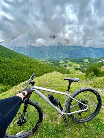 Used Specialized Rockhopper SRAM SX Eagle 2021 Mountainbike, Light Gray — image 1 of 6
