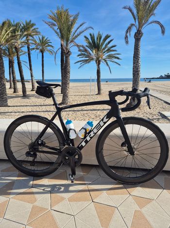 ※TREK emonda s5※52※2016※ Trek Emonda S5 2016 トレック TREK エモンダ EMONDA S5 2016