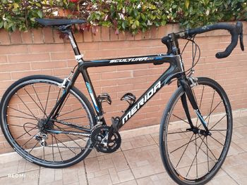 Merida, Scultura Campagnolo Chorus