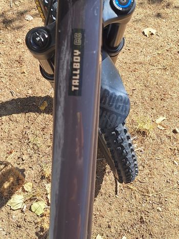 Used Santa Cruz Tallboy XX1 AXS Reserve / Carbon CC / 29 2020 2020 Mountainbike, Purple, 29 — image 5 of 5