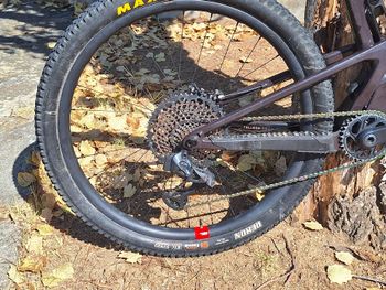 Used Santa Cruz Tallboy XX1 AXS Reserve / Carbon CC / 29 2020 2020 Mountainbike, Purple, 29 — image 3 of 5