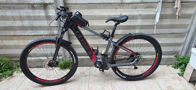 Used Olympia Performer 2023 Mountainbike, Light Gray — image 2 of 4