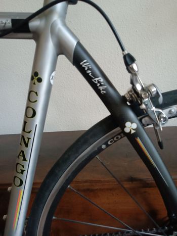 Used Colnago Arte 2008 Road & Gravel, Light Gray — image 11 of 21