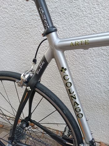 Used Colnago Arte 2008 Road & Gravel, Light Gray — image 17 of 21