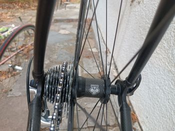 Used Colnago Arte 2008 Road & Gravel, Light Gray — image 21 of 21