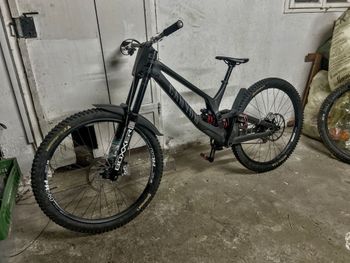 Canyon, Sender CFR 29 LTD 2024 Frameset