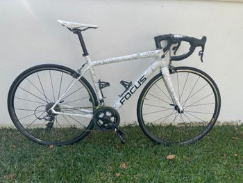Used Focus Cayo 2016 Road & Gravel