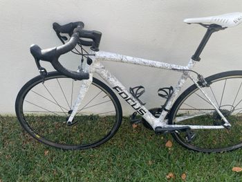 Used Focus Cayo 2016 Road & Gravel, White — image 11 of 17