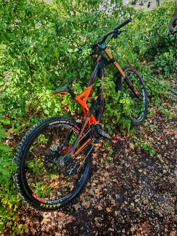 Used Polygon Collosus Shimano Saint 2017 MTB