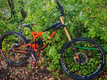 Used Polygon Collosus Shimano Saint 2017 Mountainbike, Orange — image 2 of 3