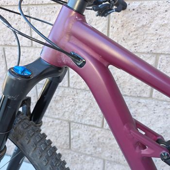 Used Specialized Status 140 2022 2022 Mountainbike, Red, 29, 27.5 — image 19 of 23