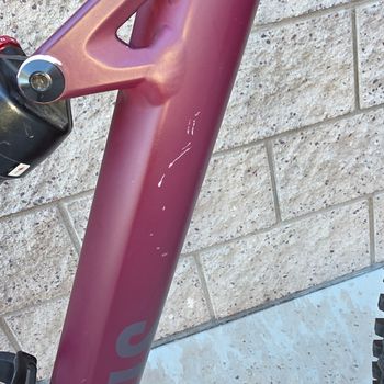 Used Specialized Status 140 2022 2022 Mountainbike, Red, 29, 27.5 — image 12 of 23