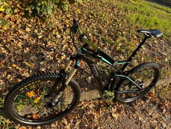 Used Radon Slide Carbon 160 2017 MTB