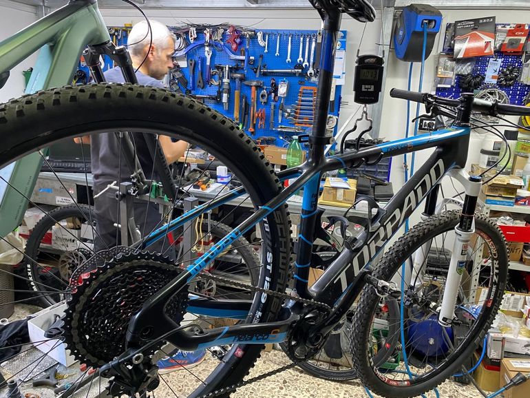 Torpado Nearco S 2017