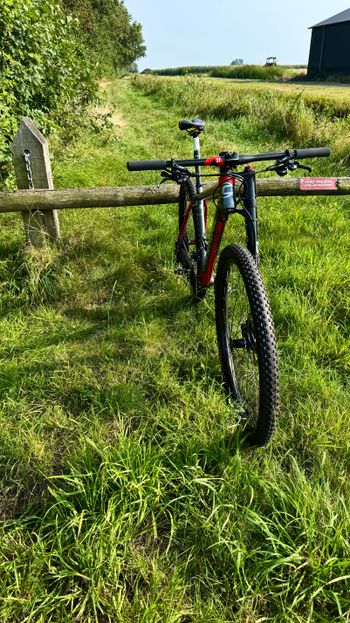Used Cannondale F-si Shimano Deore XT 2017 Mountainbike, Light Gray, 29 — image 3 of 7