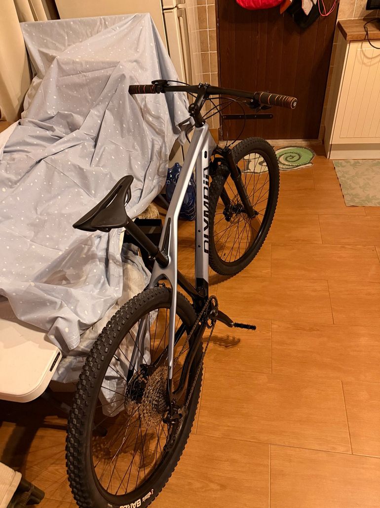 Used Olympia Iron Pro 2025 Mountainbike, Light Gray — image 2 of 5