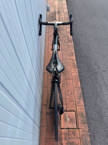 Brugt Pinarello Dogma F Rim 2023 2023 Road & Gravel — billede 5 af 15