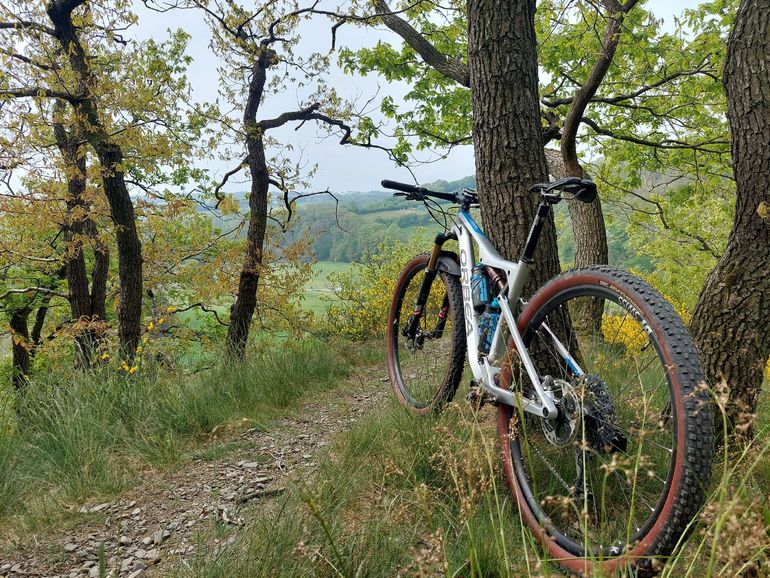 Used Orbea OIZ M-LTD 2020 2020 Mountainbike, Light Gray, 29 — image 2 of 4