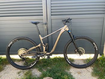 Used Giant Trance X 1 2024 2024 Mountainbike, Light Gray, 29 — image 1 of 8