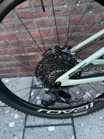 Used Specialized Epic Evo 2019 2019 Mountainbike, Green — image 3 of 14