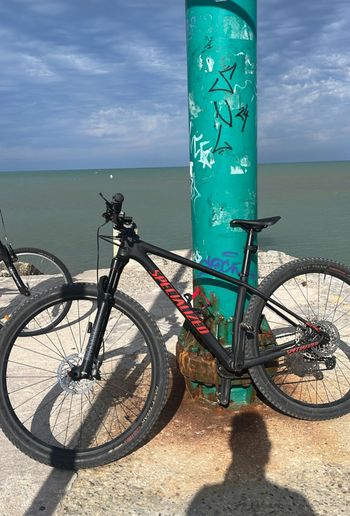 Used Specialized Epic Hardtail 2021 2021 Mountainbike, Black, 29 — image 2 of 9
