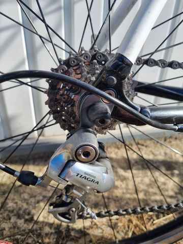 Used Specialized Allez Elite Compact 2011 2011 Road & Gravel, White — image 2 of 7