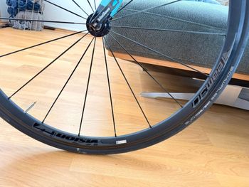 Used Bianchi Oltre XR.1 Chorus Compact 2015 Frameset 2015 Road & Gravel, Green — image 8 of 8