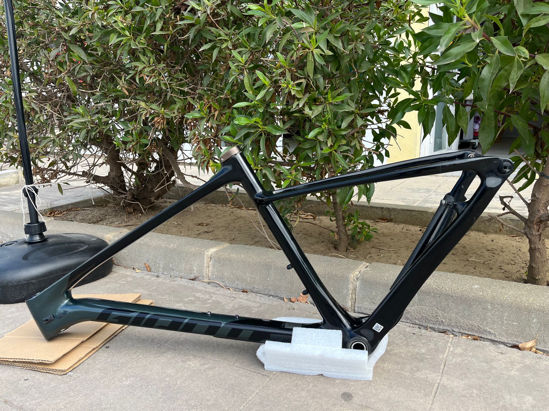 Giant XTC, Advanced 29 2021 Frameset 2021 - Main Image