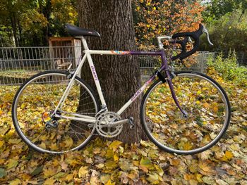 Giant, Peleton Lite