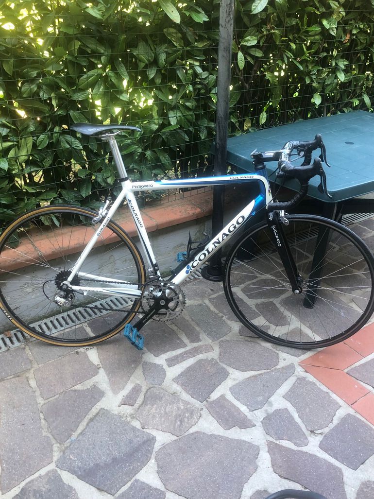 Used Colnago Primavera 2014 Road & Gravel, White — image 7 of 8