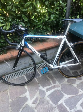 Used Colnago Primavera 2014 Road & Gravel