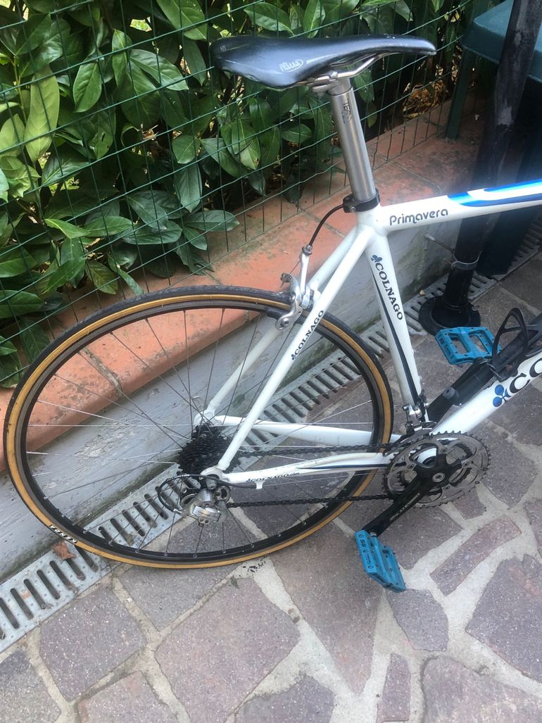Used Colnago Primavera 2014 Road & Gravel, White — image 2 of 8