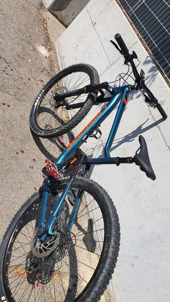 Used Lapierre Spicy 4.9 2022 2022 Mountainbike, Blue, 29 — image 1 of 3