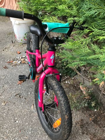 Used Specialized Riprock Coaster 2019 Mountainbike, Green — image 5 of 5