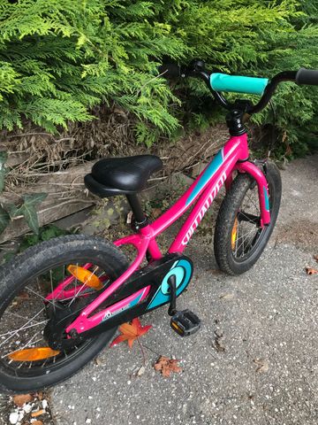 Used Specialized Riprock Coaster 2019 Mountainbike, Green — image 3 of 5