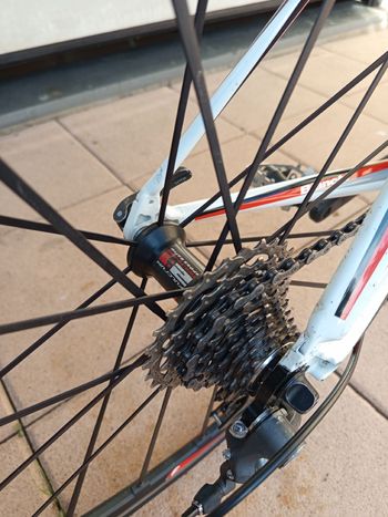 Bianchi Carbon T 2010 Road & Gravel d'occasion — image 13 sur 29
