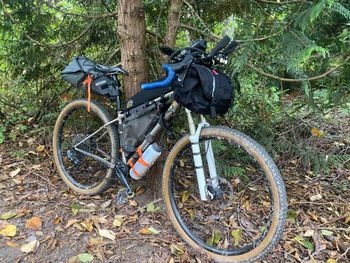 Used Motobecane Fly SRAM Force 2018 Mountainbike, Light Gray, 29 — image 12 of 13