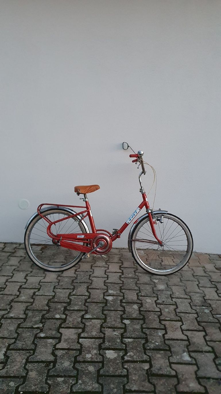 Used 2WD Susy 1998 Road & Gravel, Red — image 2 of 5
