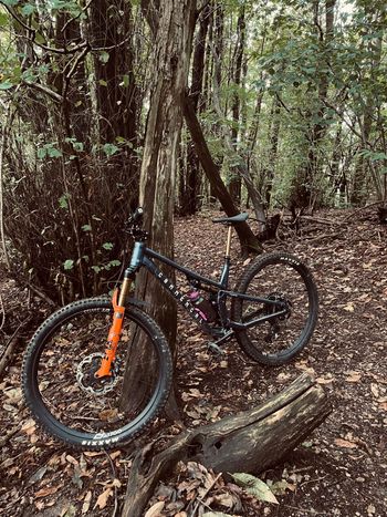 Used Commencal T.E.M.P.O. SIGNATURE 2024 2024 MTB