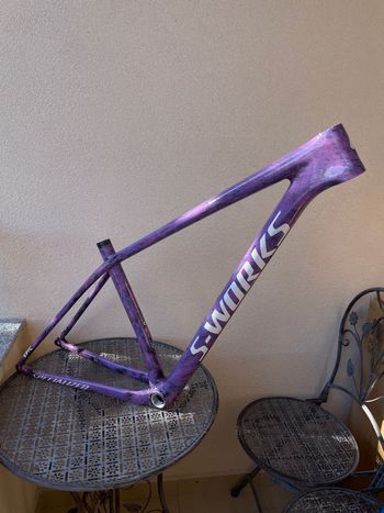 Used Specialized Epic Frameset 2023 MTB