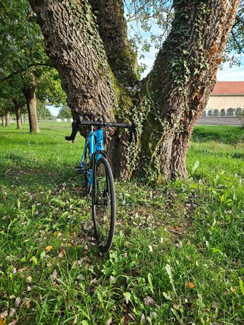 Used Ridley Kanzo A - Shimano GRX600 2x12sp 2023 2023 Road & Gravel