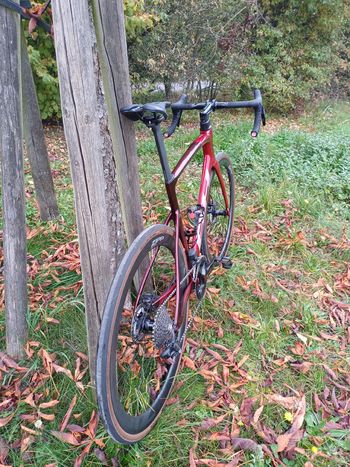 Used BH RS1 3.5 2024 2024 Road & Gravel, Red — image 6 of 6