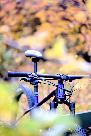 Used Specialized Chisel Custom XT 2024 2024 Mountainbike, Blue — image 3 of 5