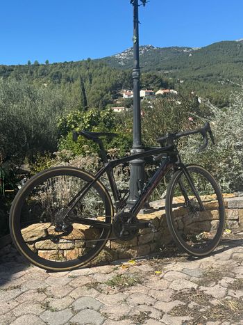 Used Trek Domane SLR 6 Gen 4 2023 2023 Road & Gravel