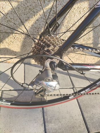 Used Sensa Umbria 2010 Road & Gravel, Black — image 13 of 13
