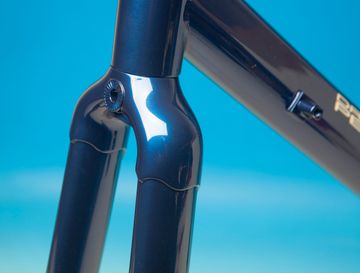 Tweedehands dario pegoretti Custom Frameset 2024 Road & Gravel — afbeelding 19 van 24