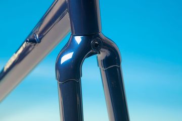 Tweedehands dario pegoretti Custom Frameset 2024 Road & Gravel — afbeelding 17 van 24
