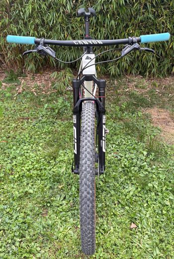 Used Canyon Exceed SRAM GX Eagle AXS 2022 Mountainbike, White — image 4 of 4