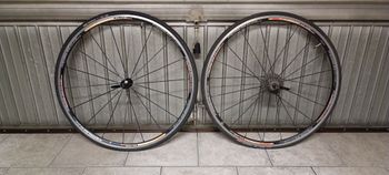 Used Colnago Extreme Power 2006 Road & Gravel, Black — image 2 of 3