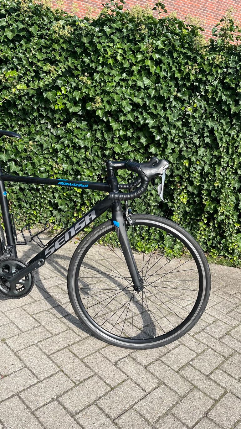 Used Sensa Romagna Tiagra 2023 2023 Road & Gravel, Black — image 7 of 7